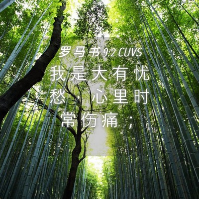 Picture 04 - 罗 马 书 9:2 CUVS - 我 是 大 有 忧 愁 ， 心 里 时 常 伤 - Bible Verse Picture
