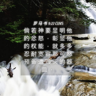Picture 04 - 罗 马 书 9:22 CUVS - 倘 若 神 要 显 明 他 的 忿 怒 ， 彰 - Bible Verse Picture