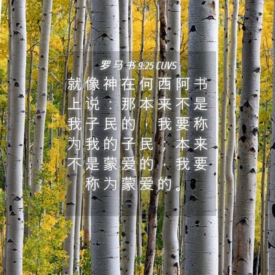Picture 04 - 罗 马 书 9:25 CUVS - 就 像 神 在 何 西 阿 书 上 说 ： 那 - Bible Verse Picture