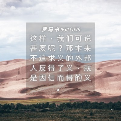 Picture 04 - 罗 马 书 9:30 CUVS - 这 样 ， 我 们 可 说 甚 麽 呢 ？ 那 - Bible Verse Picture