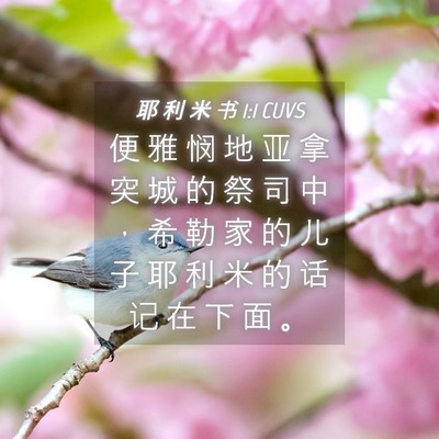 Picture 04 - 耶 利 米 书 1:1 CUVS - 便 雅 悯 地 亚 拿 突 城 的 祭 司 中 - Bible Verse Picture