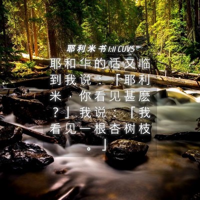 Picture 04 - 耶 利 米 书 1:11 CUVS - 耶 和 华 的 话 又 临 到 我 说 ： 「 - Bible Verse Picture