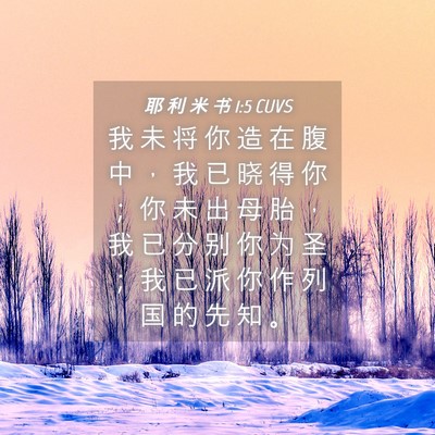 Picture 04 - 耶 利 米 书 1:5 CUVS - 我 未 将 你 造 在 腹 中 ， 我 已 晓 - Bible Verse Picture