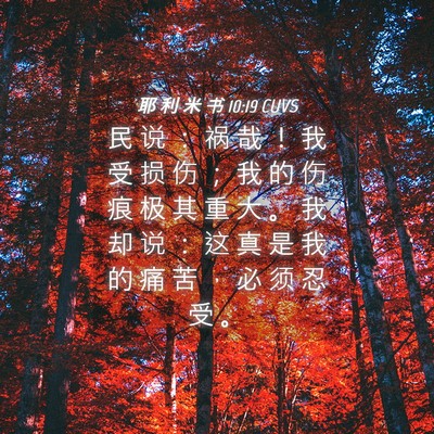 Picture 04 - 耶 利 米 书 10:19 CUVS - 民 说 ： 祸 哉 ！ 我 受 损 伤 ； 我 - Bible Verse Picture