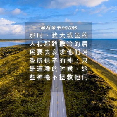 Picture 04 - 耶 利 米 书 11:12 CUVS - 那 时 ， 犹 大 城 邑 的 人 和 耶 路 - Bible Verse Picture