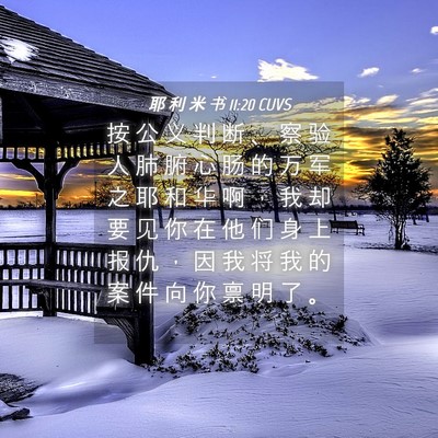 Picture 04 - 耶 利 米 书 11:20 CUVS - 按 公 义 判 断 、 察 验 人 肺 腑 心 - Bible Verse Picture