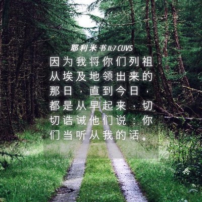 Picture 04 - 耶 利 米 书 11:7 CUVS - 因 为 我 将 你 们 列 祖 从 埃 及 地 - Bible Verse Picture