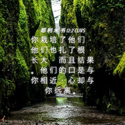 Picture 04 - 耶 利 米 书 12:2 CUVS - 你 栽 培 了 他 们 ， 他 们 也 扎 了 - Bible Verse Picture