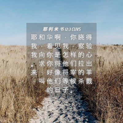 Picture 04 - 耶 利 米 书 12:3 CUVS - 耶 和 华 啊 ， 你 晓 得 我 ， 看 见 - Bible Verse Picture