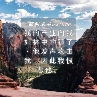 Picture 04 - 耶 利 米 书 12:8 CUVS - 我 的 产 业 向 我 如 林 中 的 狮 子 - Bible Verse Picture