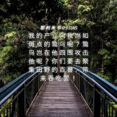 Picture 04 - 耶 利 米 书 12:9 CUVS - 我 的 产 业 向 我 岂 如 斑 点 的 鸷 - Bible Verse Picture