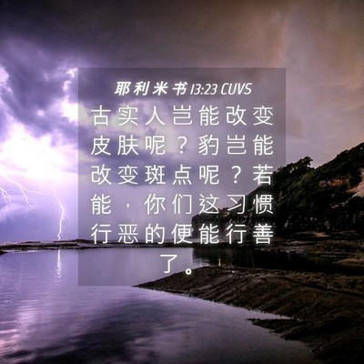 Picture 04 - 耶 利 米 书 13:23 CUVS - 古 实 人 岂 能 改 变 皮 肤 呢 ？ 豹 - Bible Verse Picture