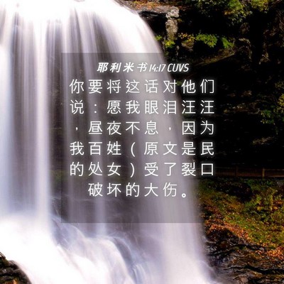 Picture 04 - 耶 利 米 书 14:17 CUVS - 你 要 将 这 话 对 他 们 说 ： 愿 我 - Bible Verse Picture