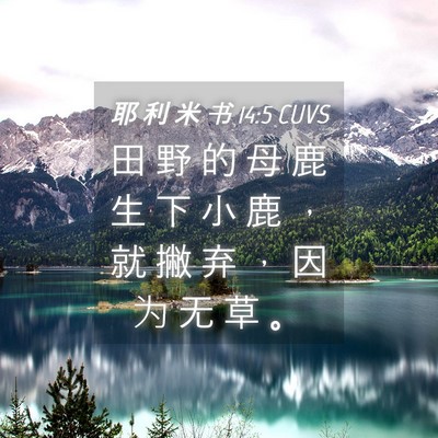 Picture 04 - 耶 利 米 书 14:5 CUVS - 田 野 的 母 鹿 生 下 小 鹿 ， 就 撇 - Bible Verse Picture