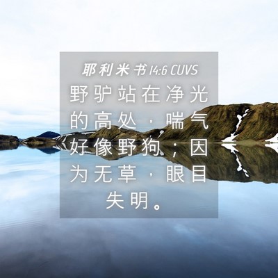 Picture 04 - 耶 利 米 书 14:6 CUVS - 野 驴 站 在 净 光 的 高 处 ， 喘 气 - Bible Verse Picture
