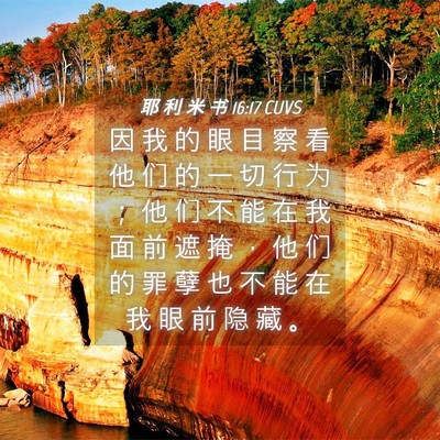 Picture 04 - 耶 利 米 书 16:17 CUVS - 因 我 的 眼 目 察 看 他 们 的 一 切 - Bible Verse Picture