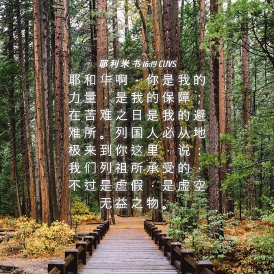 Picture 04 - 耶 利 米 书 16:19 CUVS - 耶 和 华 啊 ， 你 是 我 的 力 量 ， - Bible Verse Picture