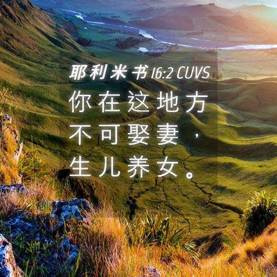 Picture 04 - 耶 利 米 书 16:2 CUVS - 你 在 这 地 方 不 可 娶 妻 ， 生 儿 - Bible Verse Picture