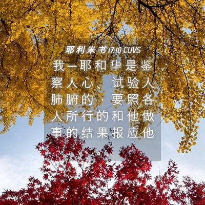 Picture 04 - 耶 利 米 书 17:10 CUVS - 我 ─ 耶 和 华 是 鉴 察 人 心 、 试 - Bible Verse Picture