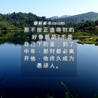Picture 04 - 耶 利 米 书 17:11 CUVS - 那 不 按 正 道 得 财 的 ， 好 像 鹧 - Bible Verse Picture