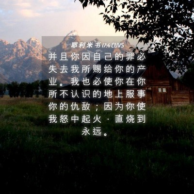 Picture 04 - 耶 利 米 书 17:4 CUVS - 并 且 你 因 自 己 的 罪 必 失 去 我 - Bible Verse Picture