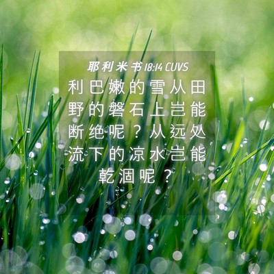 Picture 04 - 耶 利 米 书 18:14 CUVS - 利 巴 嫩 的 雪 从 田 野 的 磐 石 上 - Bible Verse Picture
