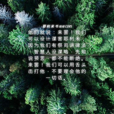 Picture 04 - 耶 利 米 书 18:18 CUVS - 他 们 就 说 ： 来 罢 ！ 我 们 可 以 - Bible Verse Picture
