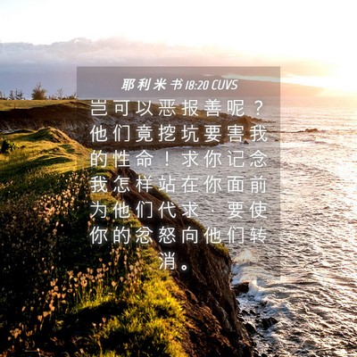Picture 04 - 耶 利 米 书 18:20 CUVS - 岂 可 以 恶 报 善 呢 ？ 他 们 竟 挖 - Bible Verse Picture