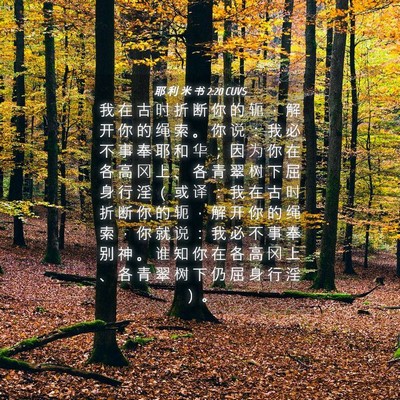 Picture 04 - 耶 利 米 书 2:20 CUVS - 我 在 古 时 折 断 你 的 轭 ， 解 开 - Bible Verse Picture