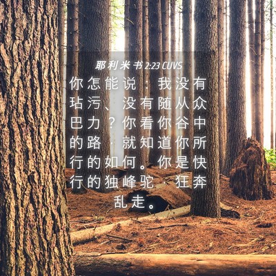 Picture 04 - 耶 利 米 书 2:23 CUVS - 你 怎 能 说 ： 我 没 有 玷 污 、 没 - Bible Verse Picture