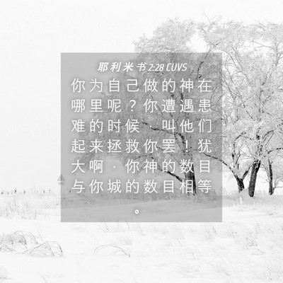 Picture 04 - 耶 利 米 书 2:28 CUVS - 你 为 自 己 做 的 神 在 哪 里 呢 ？ - Bible Verse Picture