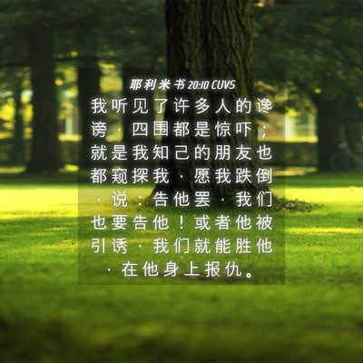 Picture 04 - 耶 利 米 书 20:10 CUVS - 我 听 见 了 许 多 人 的 谗 谤 ， 四 - Bible Verse Picture