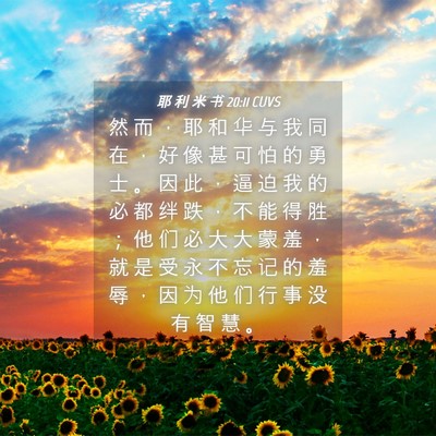 Picture 04 - 耶 利 米 书 20:11 CUVS - 然 而 ， 耶 和 华 与 我 同 在 ， 好 - Bible Verse Picture