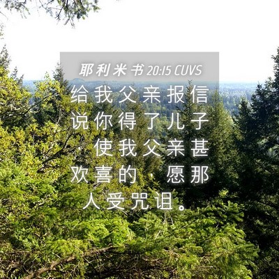 Picture 04 - 耶 利 米 书 20:15 CUVS - 给 我 父 亲 报 信 说 你 得 了 儿 子 - Bible Verse Picture