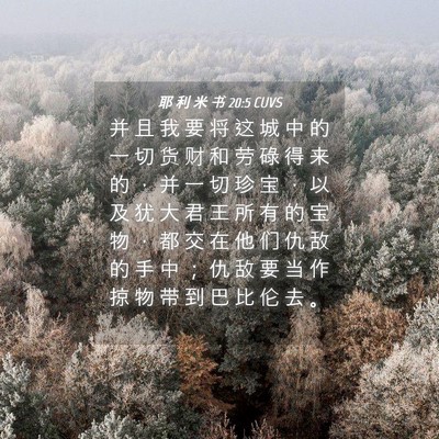 Picture 04 - 耶 利 米 书 20:5 CUVS - 并 且 我 要 将 这 城 中 的 一 切 货 - Bible Verse Picture