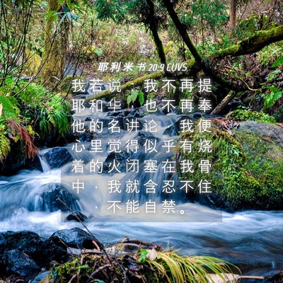 Picture 04 - 耶 利 米 书 20:9 CUVS - 我 若 说 ： 我 不 再 提 耶 和 华 ， - Bible Verse Picture