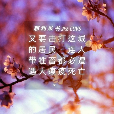 Picture 04 - 耶 利 米 书 21:6 CUVS - 又 要 击 打 这 城 的 居 民 ， 连 人 - Bible Verse Picture