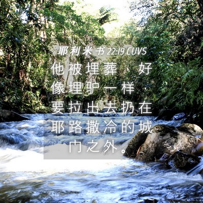Picture 04 - 耶 利 米 书 22:19 CUVS - 他 被 埋 葬 ， 好 像 埋 驴 一 样 ， - Bible Verse Picture
