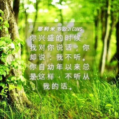 Picture 04 - 耶 利 米 书 22:21 CUVS - 你 兴 盛 的 时 候 ， 我 对 你 说 话 - Bible Verse Picture