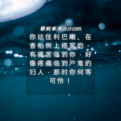 Picture 04 - 耶 利 米 书 22:23 CUVS - 你 这 住 利 巴 嫩 、 在 香 柏 树 上 - Bible Verse Picture