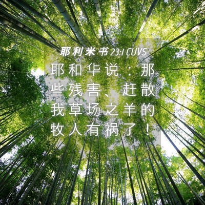Picture 04 - 耶 利 米 书 23:1 CUVS - 耶 和 华 说 ： 那 些 残 害 、 赶 散 - Bible Verse Picture
