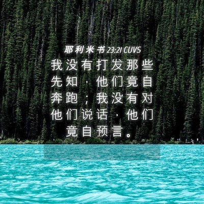 Picture 04 - 耶 利 米 书 23:21 CUVS - 我 没 有 打 发 那 些 先 知 ， 他 们 - Bible Verse Picture