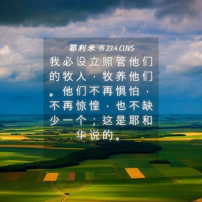 Picture 04 - 耶 利 米 书 23:4 CUVS - 我 必 设 立 照 管 他 们 的 牧 人 ， - Bible Verse Picture