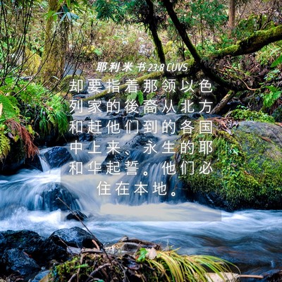 Picture 04 - 耶 利 米 书 23:8 CUVS - 却 要 指 着 那 领 以 色 列 家 的 後 - Bible Verse Picture