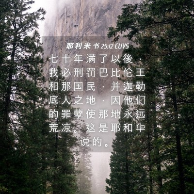 Picture 04 - 耶 利 米 书 25:12 CUVS - 七 十 年 满 了 以 後 ， 我 必 刑 罚 - Bible Verse Picture