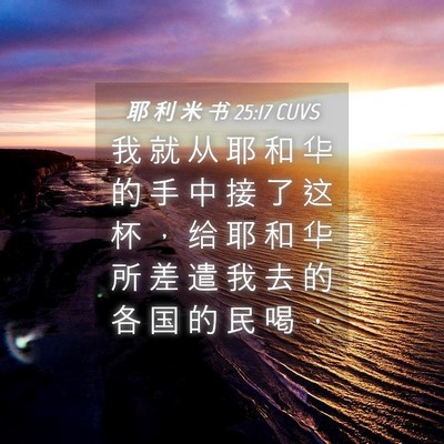 Picture 04 - 耶 利 米 书 25:17 CUVS - 我 就 从 耶 和 华 的 手 中 接 了 这 - Bible Verse Picture