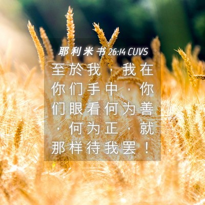 Picture 04 - 耶 利 米 书 26:14 CUVS - 至 於 我 ， 我 在 你 们 手 中 ， 你 - Bible Verse Picture
