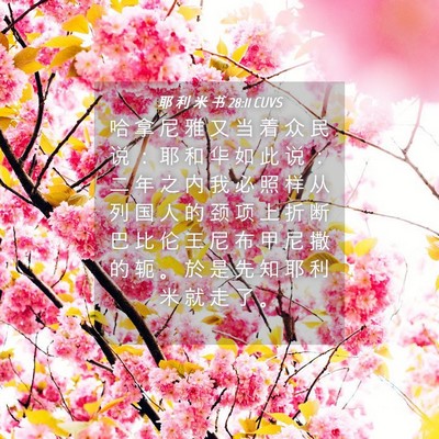 Picture 04 - 耶 利 米 书 28:11 CUVS - 哈 拿 尼 雅 又 当 着 众 民 说 ： 耶 - Bible Verse Picture