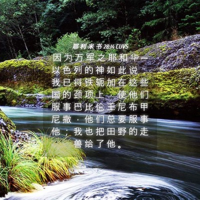 Picture 04 - 耶 利 米 书 28:14 CUVS - 因 为 万 军 之 耶 和 华 ─ 以 色 列 - Bible Verse Picture