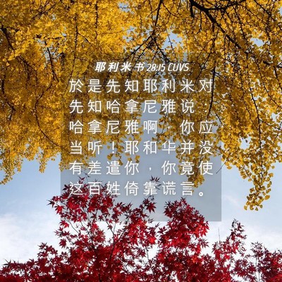 Picture 04 - 耶 利 米 书 28:15 CUVS - 於 是 先 知 耶 利 米 对 先 知 哈 拿 - Bible Verse Picture